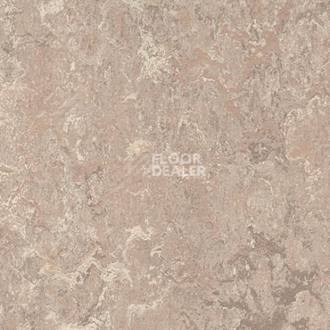 Линолеум Forbo Marmoleum Decibel on Order 323235 horse roan фото 1 | FLOORDEALER
